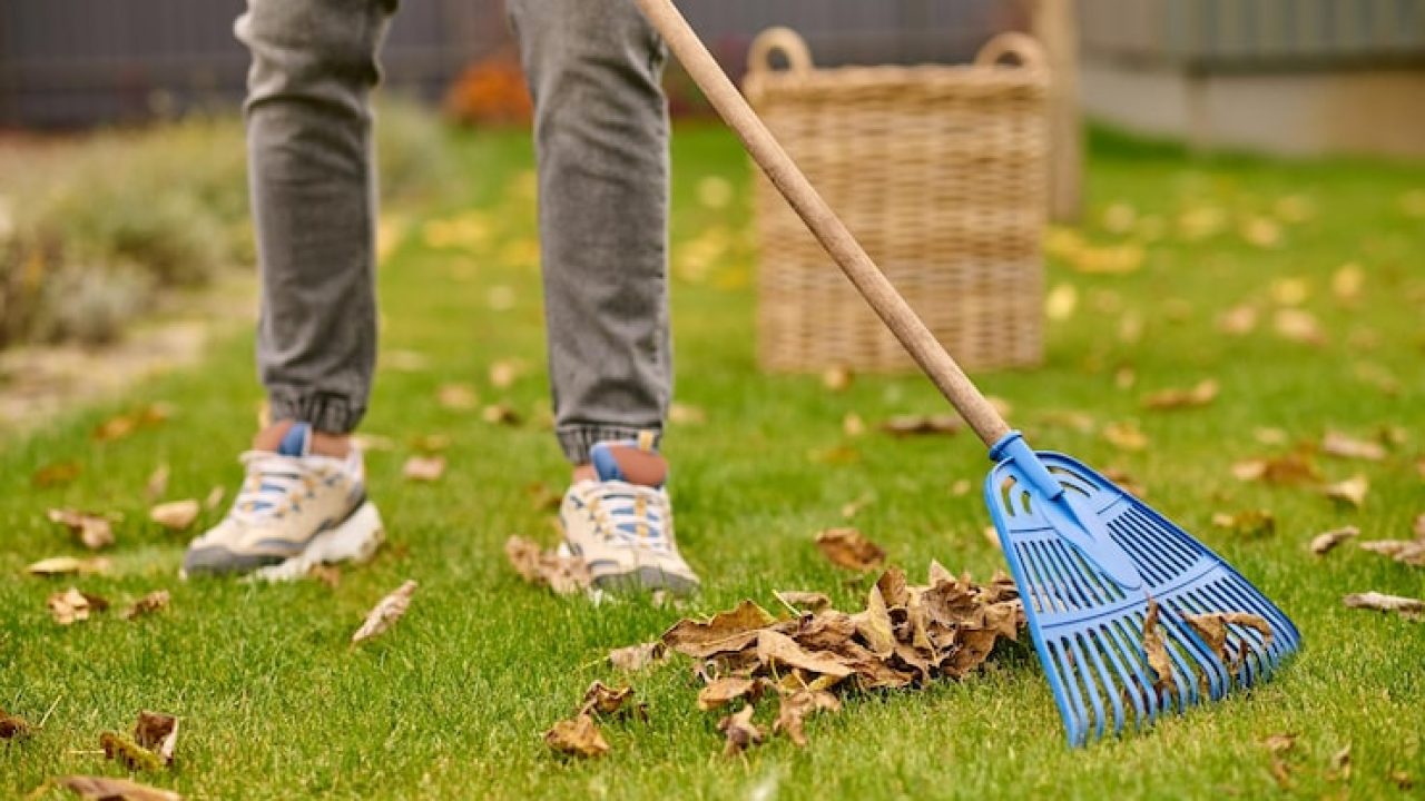 male-feet-lawn-rake-near-leaves_259150-58539